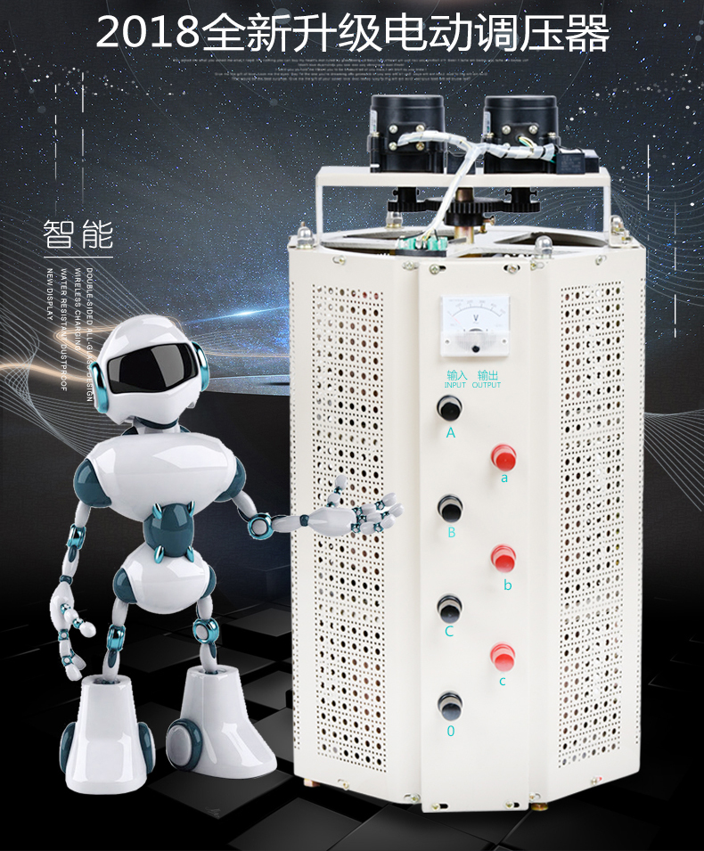 新款電動調(diào)壓器