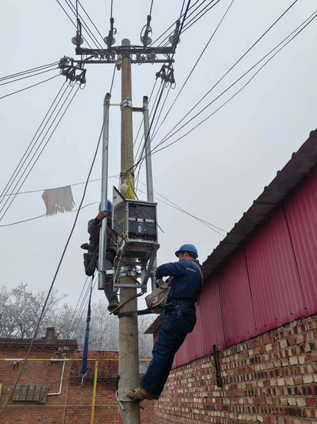 LW-AVR低電壓治理設備